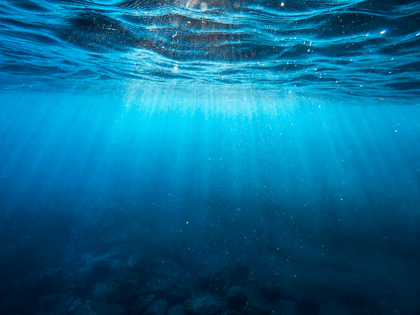 Underwater view of the ocean surface