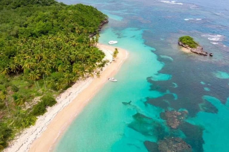 Mana Pacific