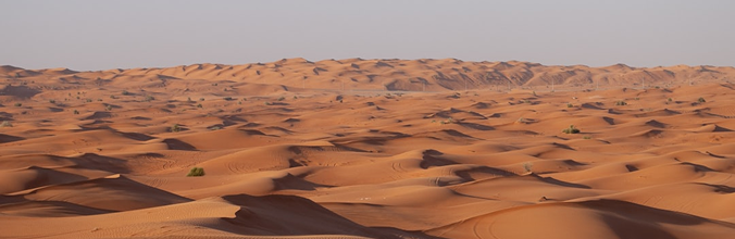 Las Dunas de Maspalomas